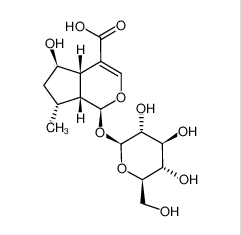 8-Dehydroxy shanzhiside