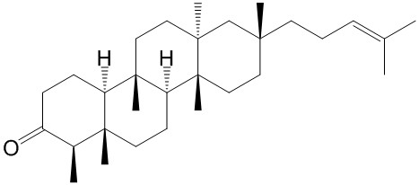 Shionone