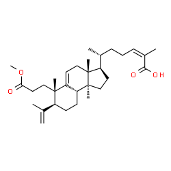 Kadsuric acid 3-methylester