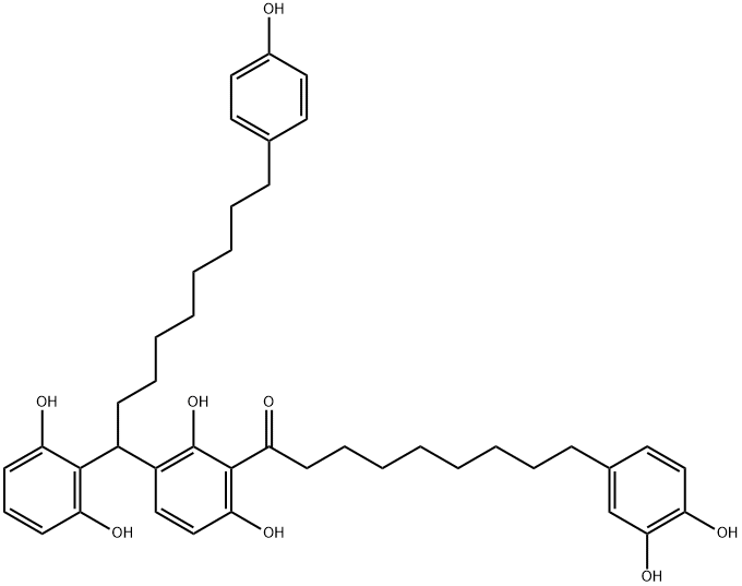 Maingayone B