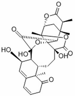 Physalin L