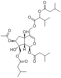 Jatamanvaltrate B