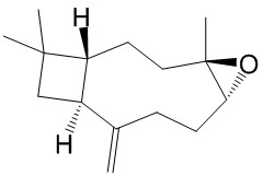 Caryophyllene oxide
