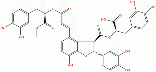 9'-Methyl lithospermate B