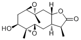 Carabrolactone A