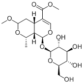 7-O-Methylmorroniside