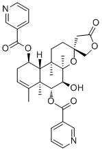 6-O-Nicotinoylscutebarbatine G