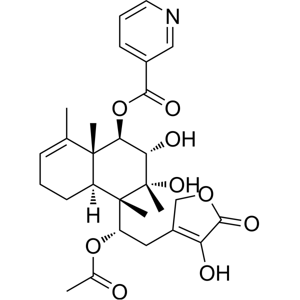 Scutebata C
