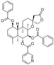 Scutebata G