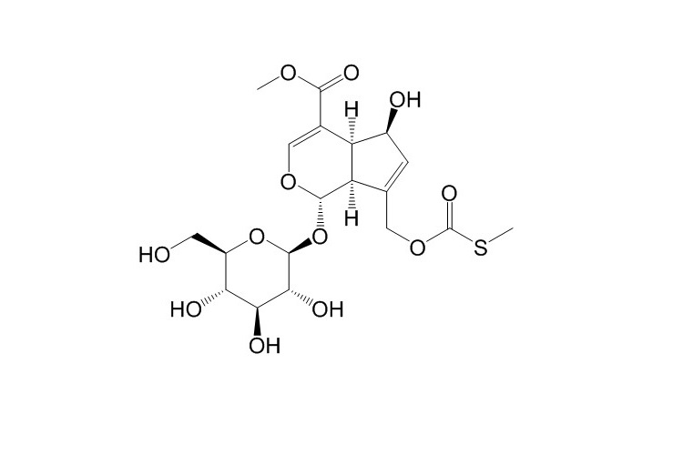 Paederosidic acid methyl ester