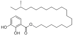 Gentiside B