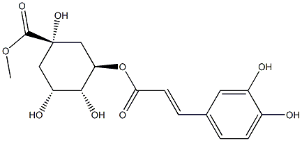 3-O-Caffeoylquinic acid methyl ester