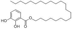 Gentiside J