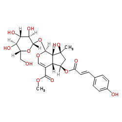 6-O-trans-p-Coumaroylshanzhiside methyl ester