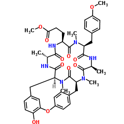Rubiyunnanin C