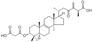 24(31)-Dehydrocarboxyacetylquercinic acid