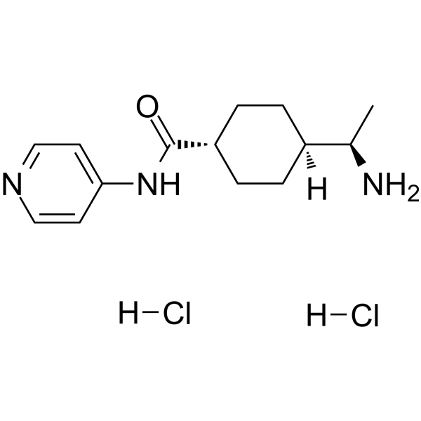 Y-27632 2HCl