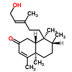 2-Oxokolavenol