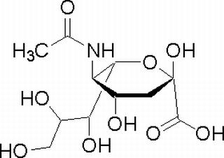 N-Acetylneuraminic acid