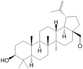 Betulinaldehyde