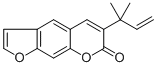Chalepensin