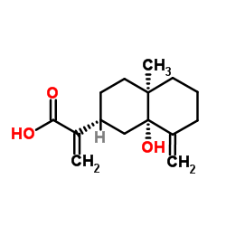 5beta-Hydroxycostic acid