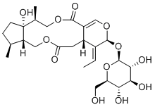 Isojasminin