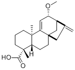 12alpha-Methoxygrandiflorenic acid