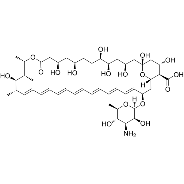 Amphotericin B