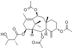 Yunnanxane