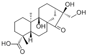 Pterisolic acid F