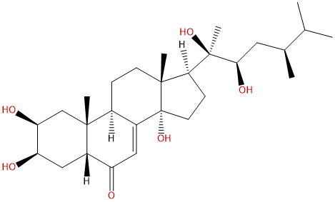 Polyporusterone A