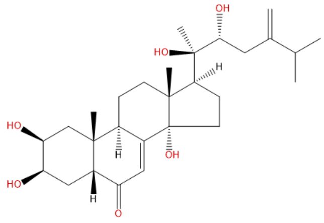 Polyporusterone B
