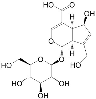Deacetylasperulosidic acid