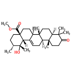 3-Oxopomolic acid methyl ester