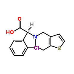 Clopidogrel Related Compound A