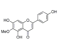 Hispidulin