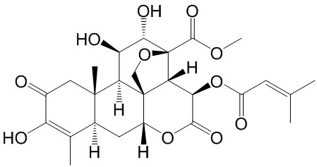 Brusatol