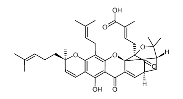 Isogambogic acid