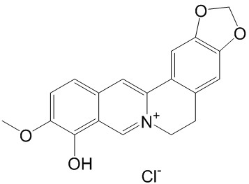 Berberrubine