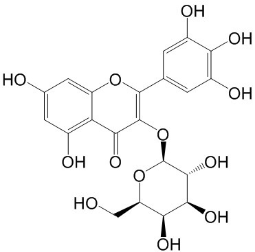 Myricetin 3-O-galactoside