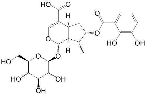 Gentiournoside D