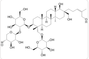 Hosenkoside G