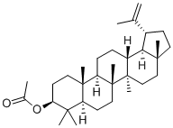 Lupeol acetate