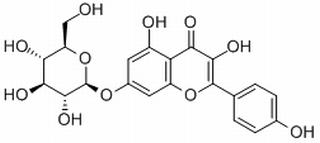 Kaempferol-7-O-D-glucopyranoside