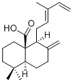 8(17),12E,14-Labdatrien-20-oic acid