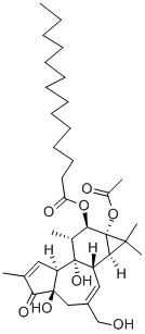 12-O-tetradecanoylphorbol-13-acetate