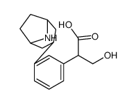 Noratropine