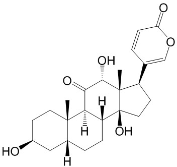 Pseudobufarenogin