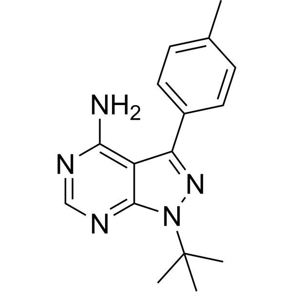 PP1